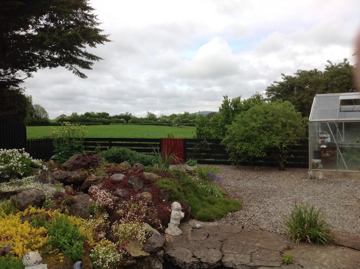 Barrow View Accommodation Mountmellick Экстерьер фото